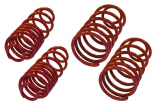 Tieferlegungsfedern 40/40mm für Audi,VW,Seat Golf 4 ,A3,Leon,Bora,Toledo Typ 1J,8L,1MBj. A3 8L, Bj. 96 - 03 Leon 1M, Bj. 01 - 06 Toledo1M, Bj 91 - 99 Bora 1J, Bj.05/99 - 05 Golf 4